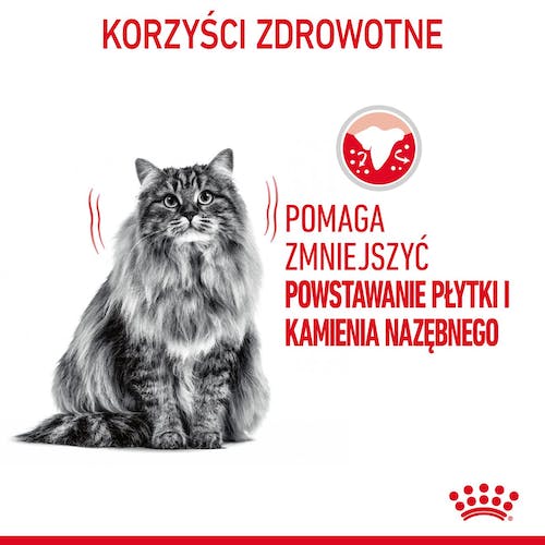 Royal Canin Dental Care karma sucha dla kotów dorosłych, redukująca odkładanie kamienia nazębnego 400g - Image 3