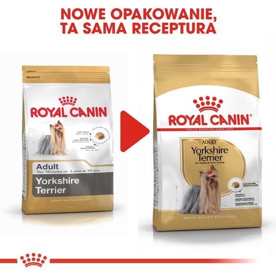 Royal Canin Yorkshire Terrier Adult karma sucha dla psów dorosłych rasy yorkshire terrier 3kg - Image 3