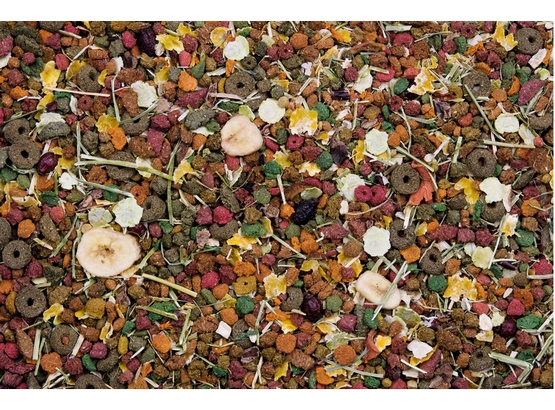 Versele-Laga Chinchilla Nature Original pokarm dla szynszyli 750g - Image 2