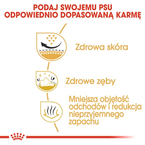 Royal Canin Shih Tzu Adult karma sucha dla psów dorosłych rasy shih tzu 1,5kg - Image 5
