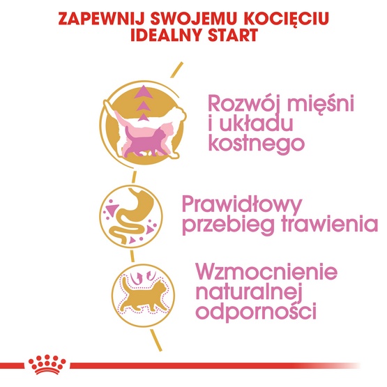 Royal Canin British Shorthair Kitten karma sucha dla kociąt, do 12 miesiąca, rasy brytyjski krótkowłosy 2kg - Image 4