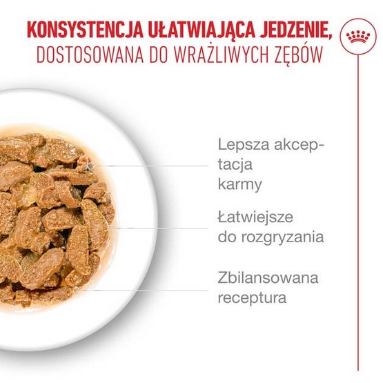 Royal Canin Ageing +11 karma mokra dla kotów dojrzałych w sosie saszetka 85g - Image 4