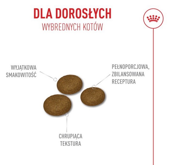 Royal Canin Fussy Exigent karma sucha dla kotów dorosłych, wybrednych 2kg - Image 2